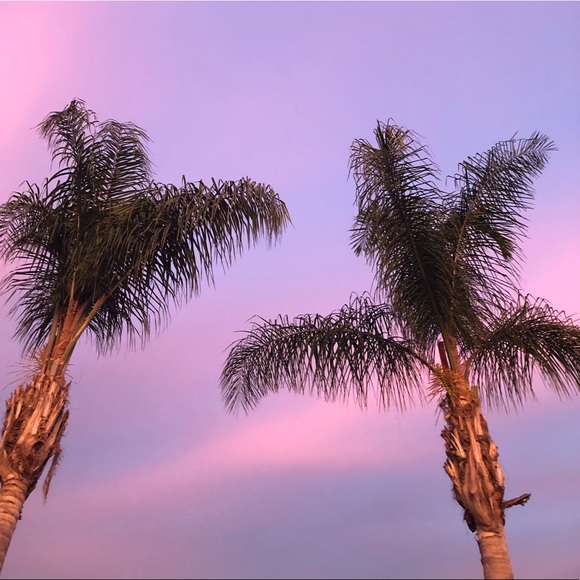 Meet your Posher, Mel - Picture 1 of 1